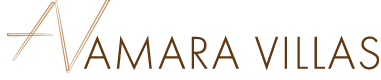 logo_header